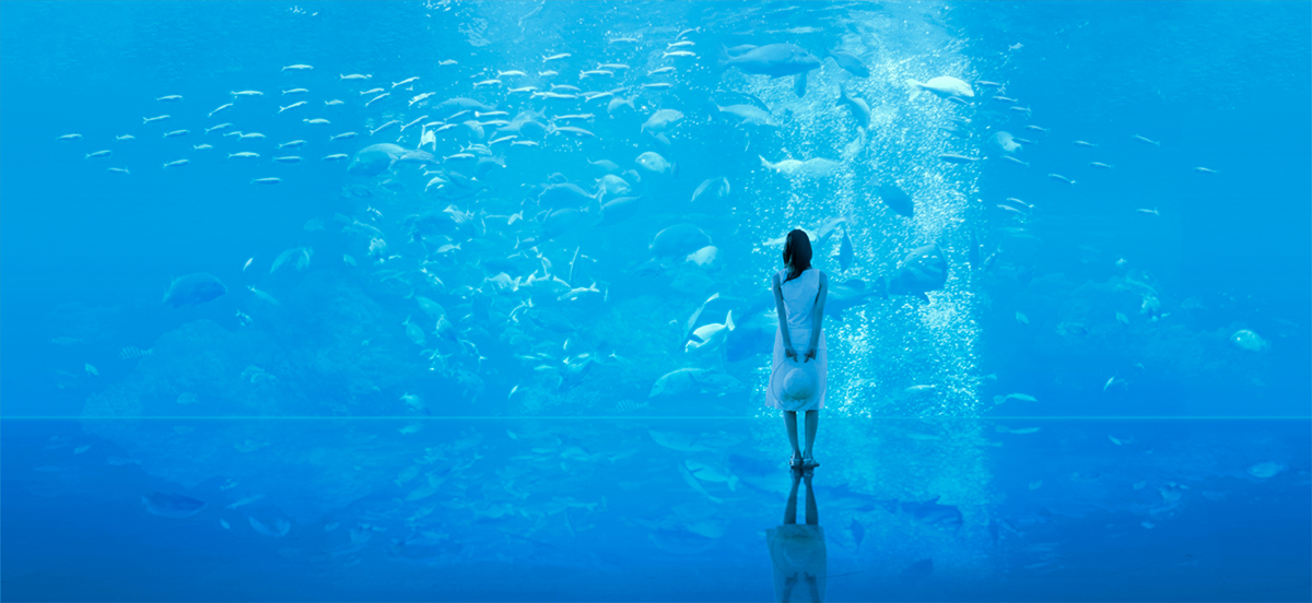 DMMかりゆし水族館メイン画像